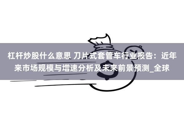 杠杆炒股什么意思 刀片式套管车行业报告：近年来市场规模与增速分析及未来前景预测_全球