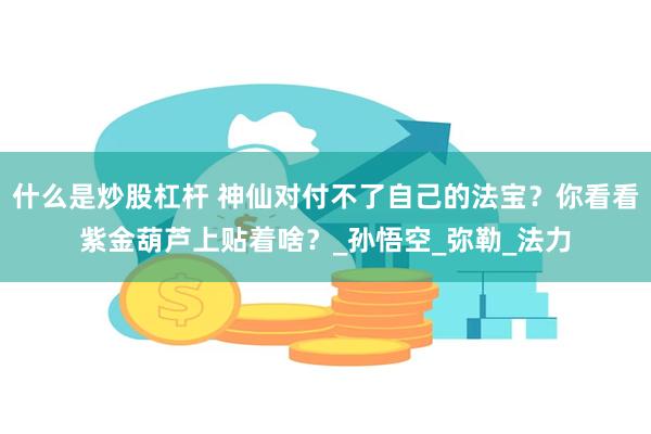 什么是炒股杠杆 神仙对付不了自己的法宝？你看看紫金葫芦上贴着啥？_孙悟空_弥勒_法力