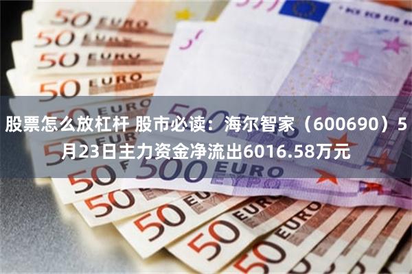 股票怎么放杠杆 股市必读：海尔智家（600690）5月23日主力资金净流出6016.58万元