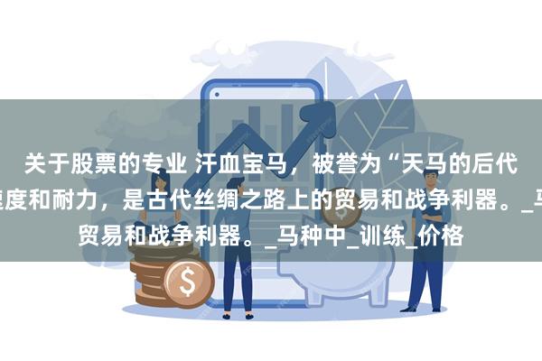 关于股票的专业 汗血宝马，被誉为“天马的后代”，具有卓越的速度和耐力，是古代丝绸之路上的贸易和战争利器。_马种中_训练_价格