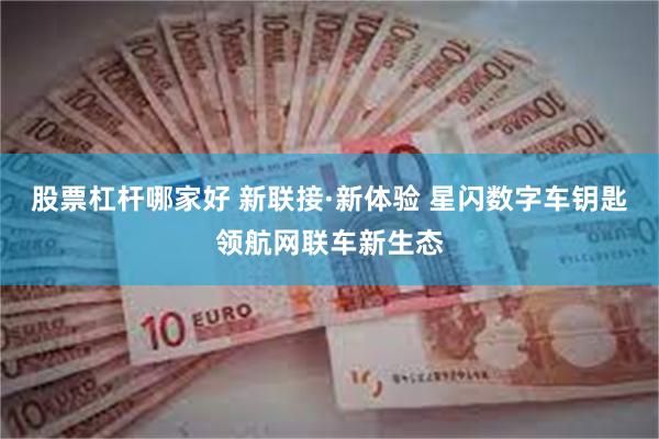 股票杠杆哪家好 新联接·新体验 星闪数字车钥匙领航网联车新生态