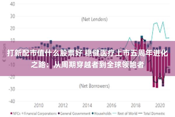 打新配市值什么股票好 稳健医疗上市五周年进化之路：从周期穿越者到全球领跑者