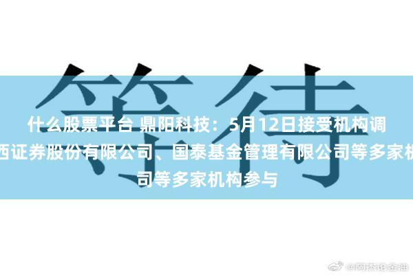 什么股票平台 鼎阳科技：5月12日接受机构调研，华西证券股份有限公司、国泰基金管理有限公司等多家机构参与