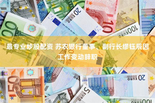 最专业炒股配资 苏农银行董事、副行长缪钰辰因工作变动辞职