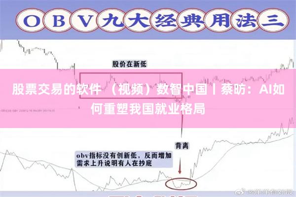 股票交易的软件 （视频）数智中国丨蔡昉：AI如何重塑我国就业格局