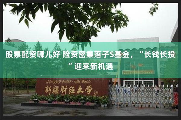 股票配资哪儿好 险资密集落子S基金，“长钱长投”迎来新机遇
