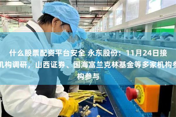 什么股票配资平台安全 永东股份：11月24日接受机构调研，山西证券、国海富兰克林基金等多家机构参与