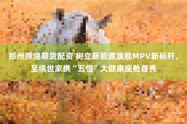 郑州原油期货配资 树立新能源旗舰MPV新标杆，至境世家携“五恒”大健康座舱首秀