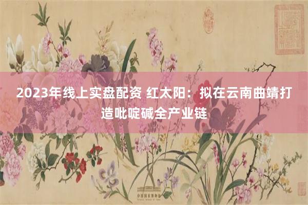 2023年线上实盘配资 红太阳：拟在云南曲靖打造吡啶碱全产业链
