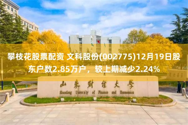 攀枝花股票配资 文科股份(002775)12月19日股东户数2.85万户,较上期减少2.24%