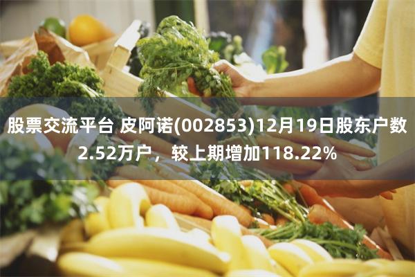 股票交流平台 皮阿诺(002853)12月19日股东户数2.52万户,较上期增加118.22%