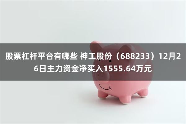 股票杠杆平台有哪些 神工股份（688233）12月26日主力资金净买入1555.64万元