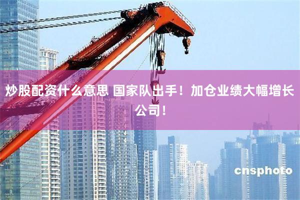 炒股配资什么意思 国家队出手！加仓业绩大幅增长公司！
