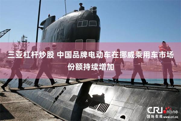 三亚杠杆炒股 中国品牌电动车在挪威乘用车市场份额持续增加